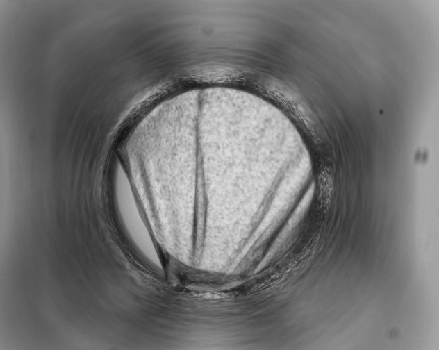 X0000098090400200805021050