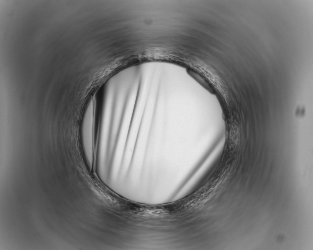 X0000098090401200805021050