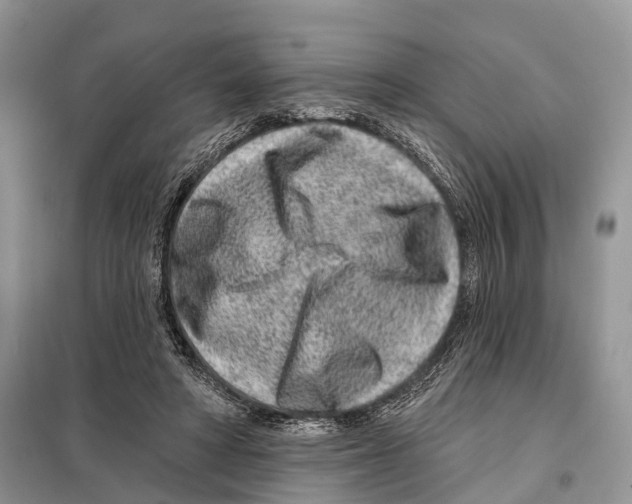 X0000098090402200805021050