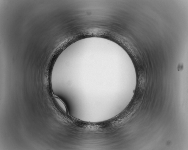 X0000098090403200805021050