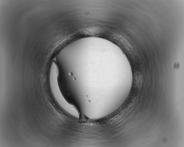 X0000098090404200805021050