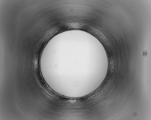 X0000098090406200805021050