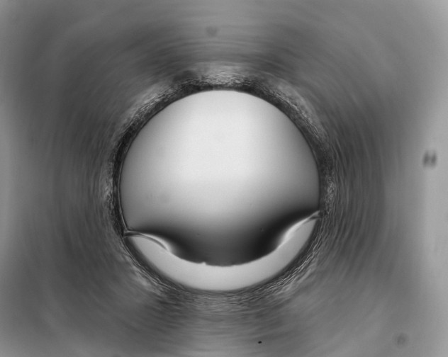 X0000098090407200805021050