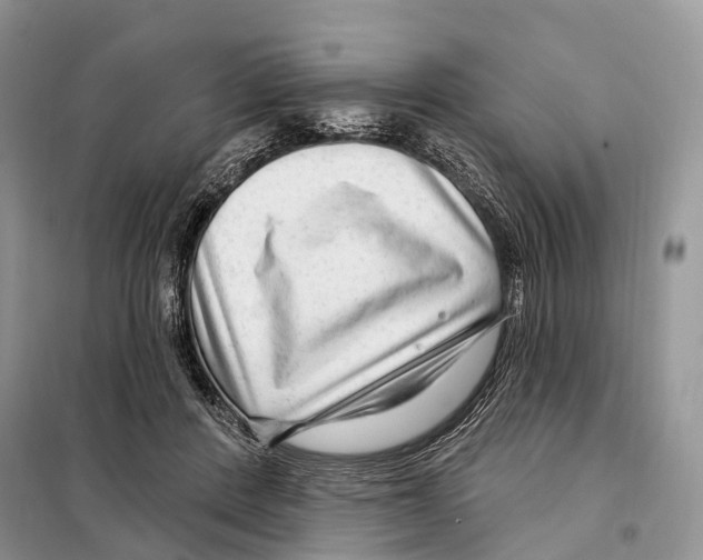 X0000098090408200805021050