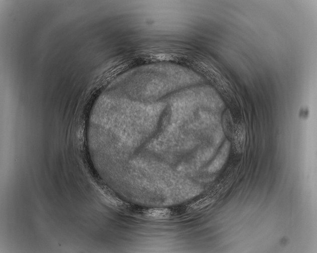 X0000098090410200805021050