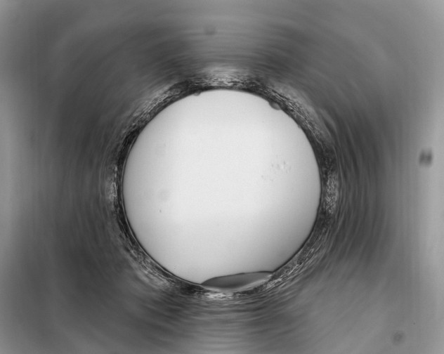 X0000098090413200805021050