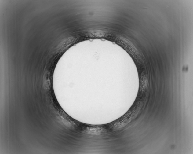 X0000098090414200805021050