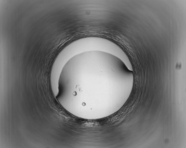 X0000098090415200805021050