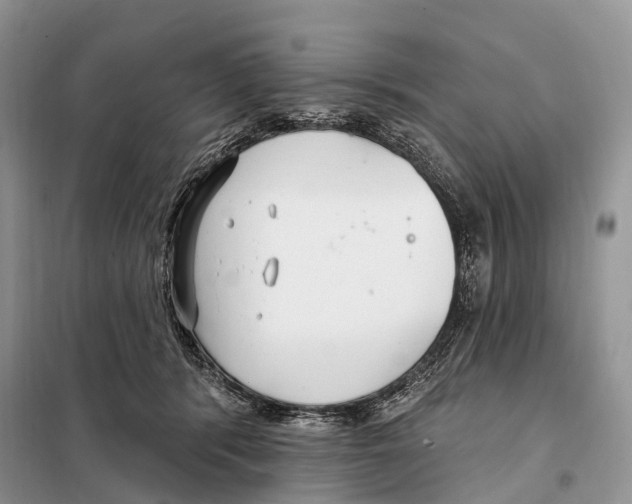 X0000098090416200805021050