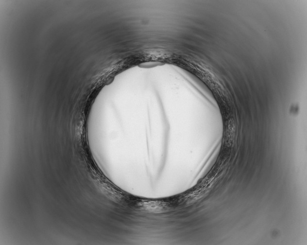 X0000098090417200805021050