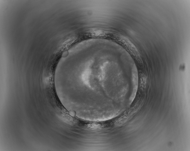 X0000098090419200805021050