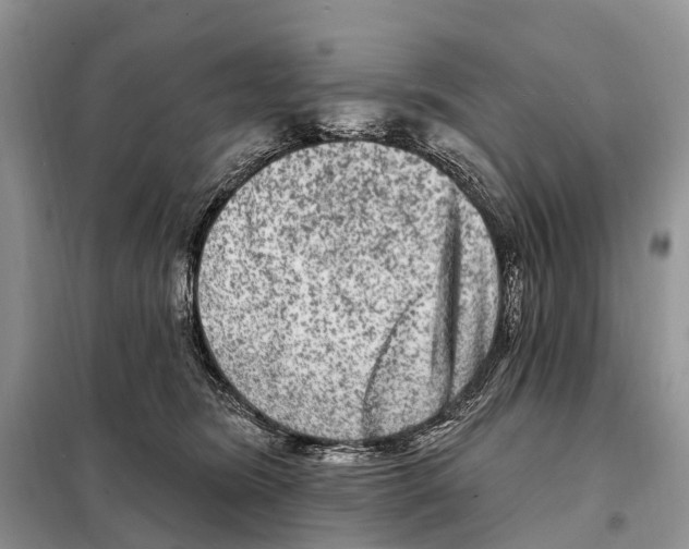 X0000098090420200805021050