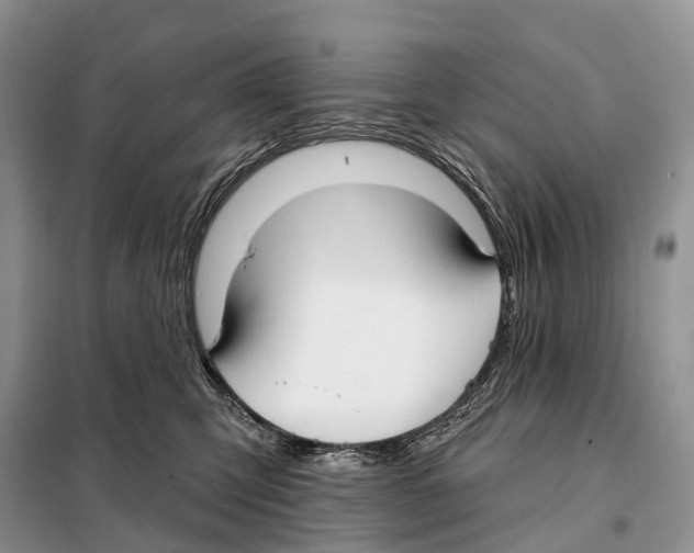 X0000098090423200805021050