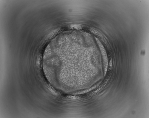 X0000098090424200805021050