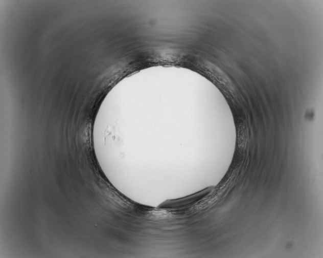 X0000098090425200805021050