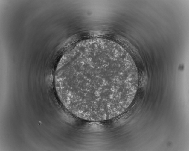 X0000098090427200805021050