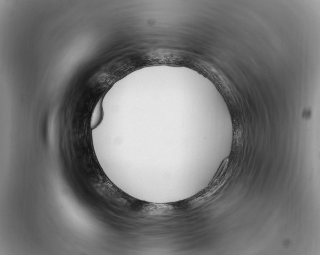 X0000098090429200805021050