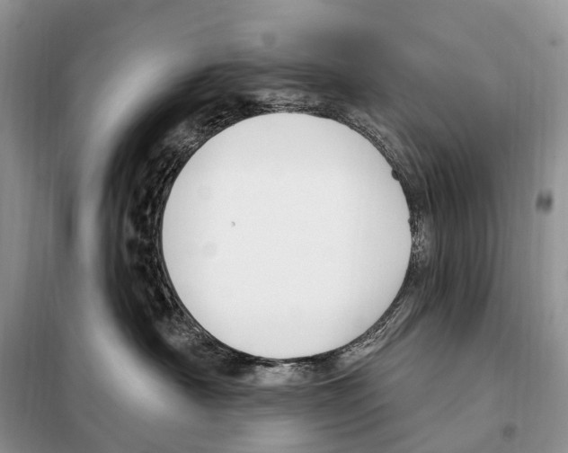 X0000098090430200805021050