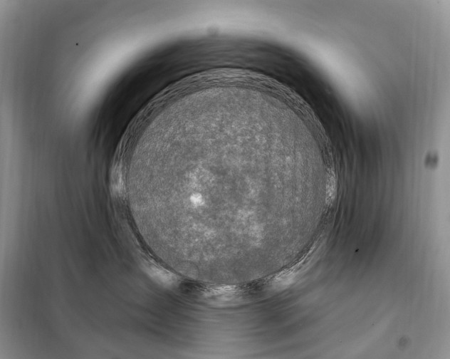 X0000098090431200805021050