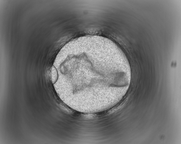 X0000098090432200805021050