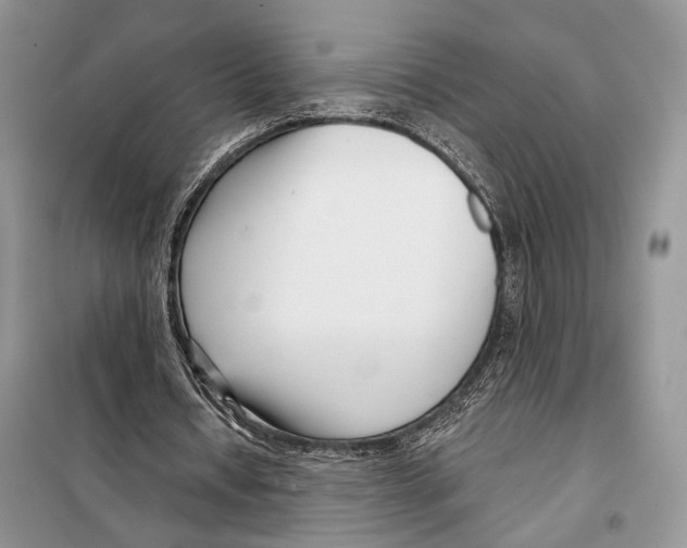 X0000098090434200805021049