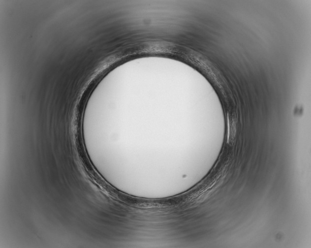 X0000098090435200805021049