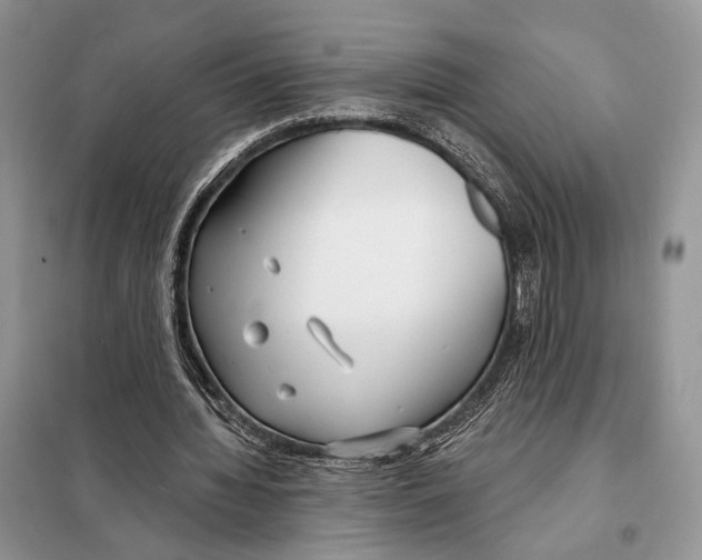 X0000098090436200805021049