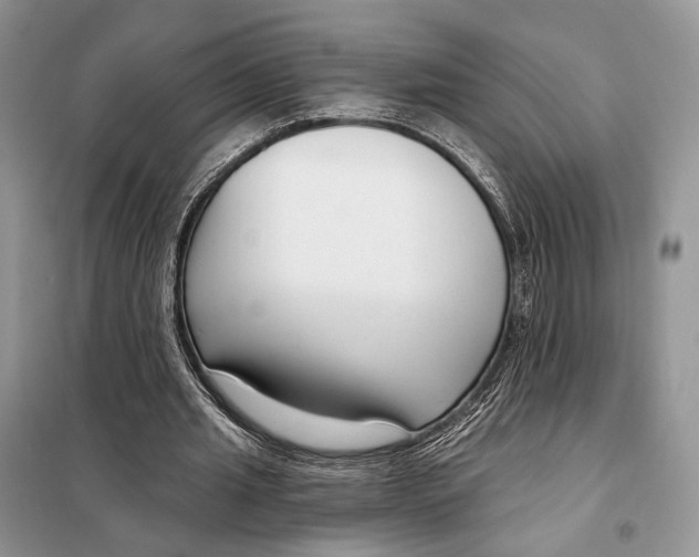 X0000098090437200805021049