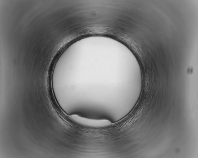 X0000098090439200805021049