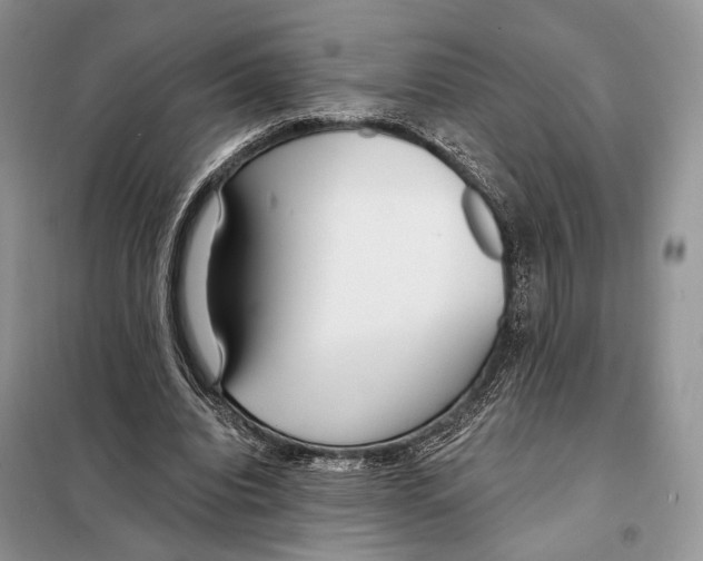 X0000098090440200805021049