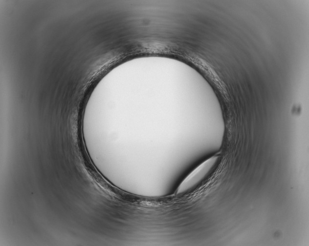 X0000098090442200805021049