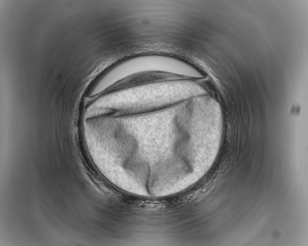 X0000098090443200805021049