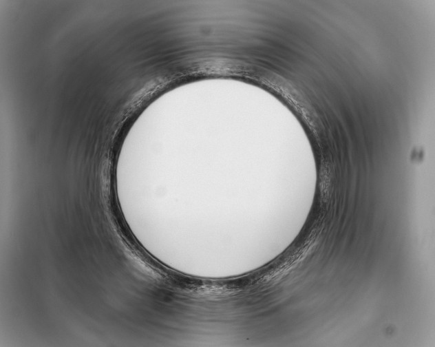 X0000098090445200805021049