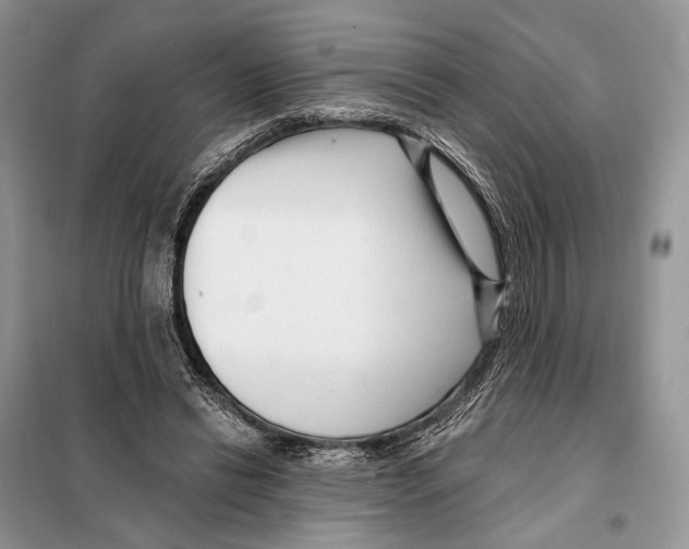 X0000098090446200805021049