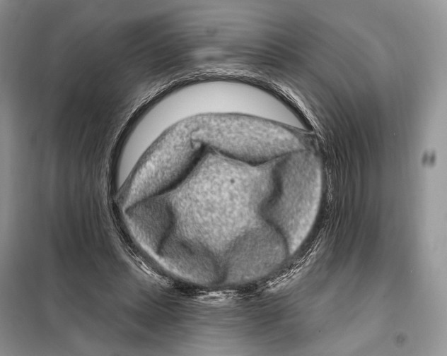 X0000098090447200805021049