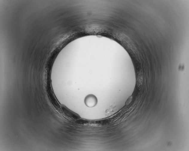 X0000098090448200805021049