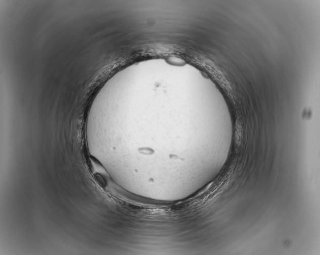 X0000098090449200805021049