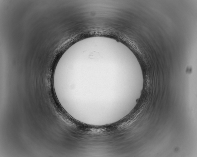 X0000098090450200805021049