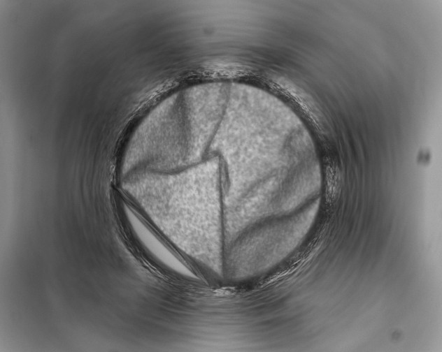 X0000098090451200805021049