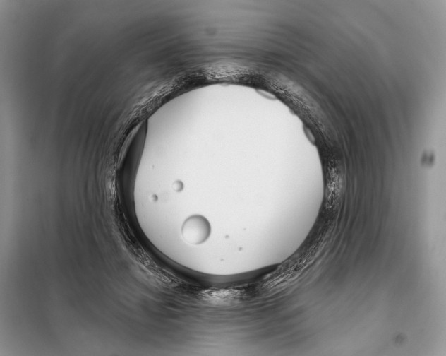 X0000098090452200805021049