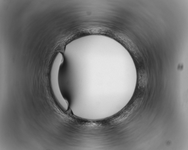 X0000098090453200805021049