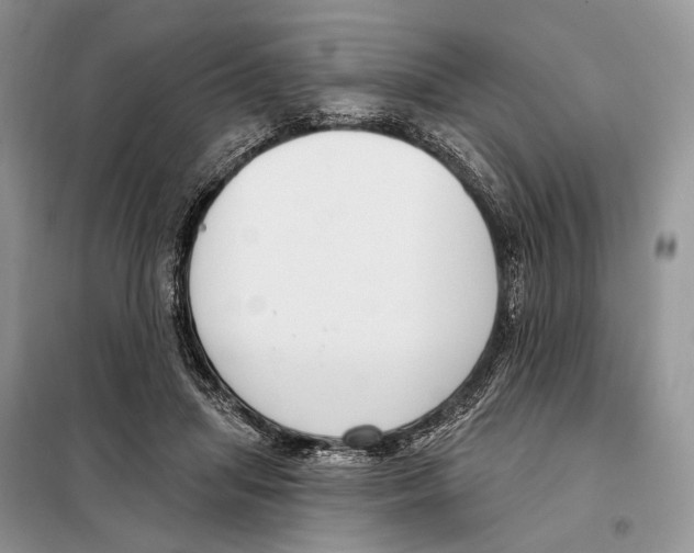 X0000098090455200805021049