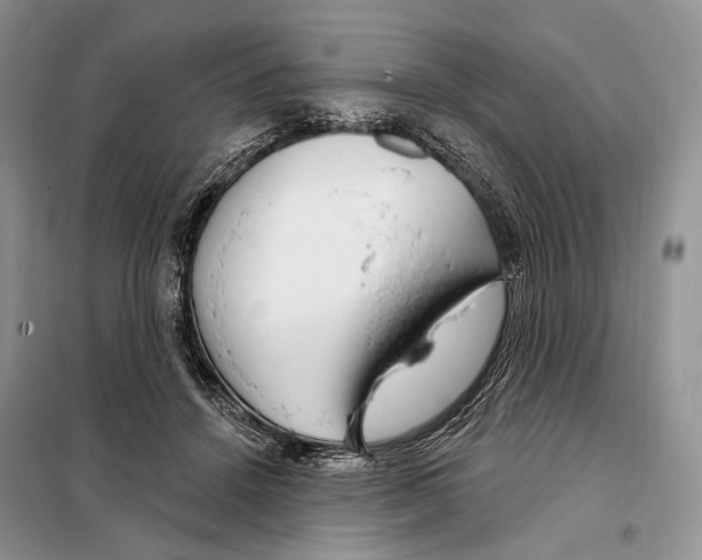 X0000098090456200805021049