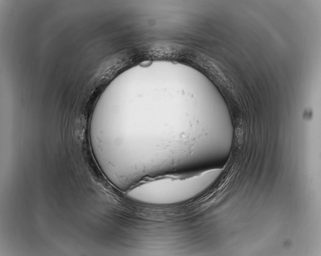 X0000098090458200805021050