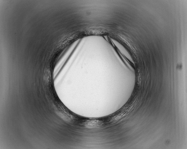 X0000098090459200805021050