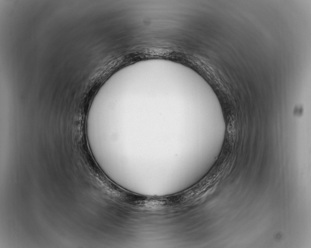 X0000098090462200805021050