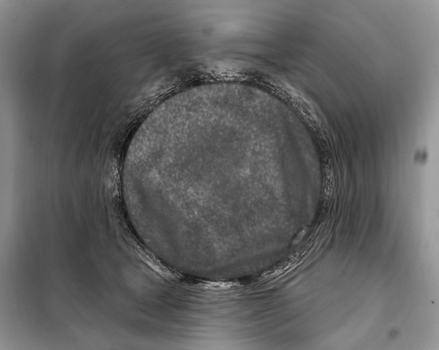 X0000098090465200805021050