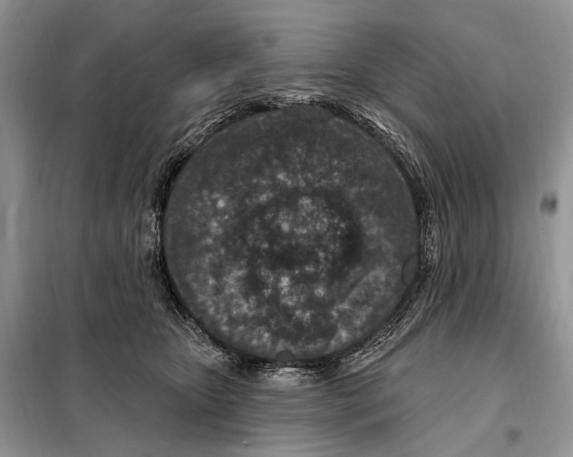 X0000098090467200805021050