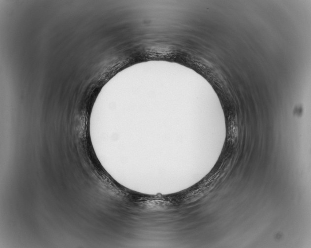 X0000098090468200805021050