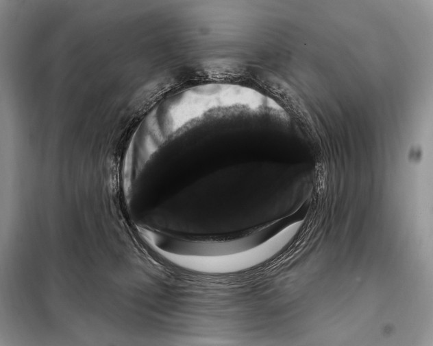 X0000098090471200805021050